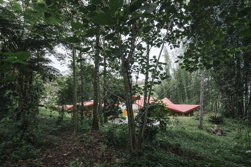 Hostal Tosepan Kali Cuetzalán del Progreso Buitenkant foto